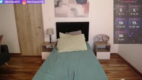 Snapshot of denissetits chatting on 01/25/25, 11:54    online show from 01/25/25, 11:54