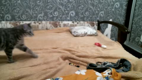 Snapshot of dennisxcarol chatting on 02/18/25, 05:31 DennisXCarol online show from 02/18/25, 05:31