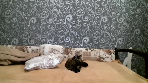 Snapshot of dennisxcarol chatting on 02/23/25, 04:24 DennisXCarol online show from 02/23/25, 04:24