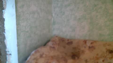 Snapshot of dennisxcarol chatting on 04/23/26, 10:14 DennisXCarol online show from 04/23/26, 10:14