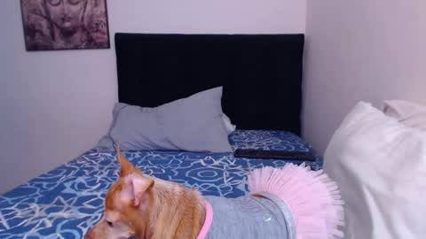 Derek online show from 03/02/25, 08:29