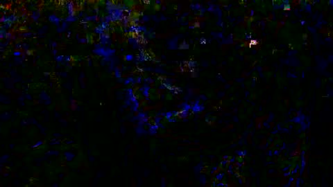 Eva and Adam online show from 12/26/24, 08:50