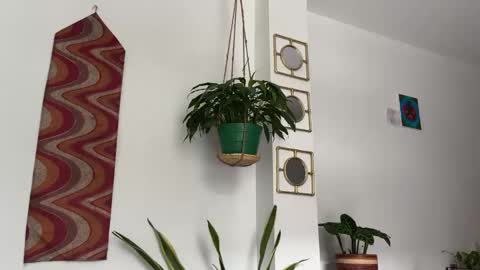 Snapshot of desidias chatting on 10/22/25, 09:03 Desidias online show from 10/22/25, 09:03