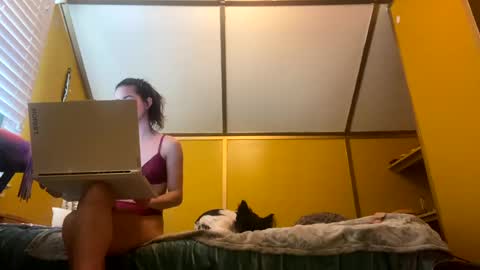 desimonroe online show from 01/27/25, 06:20