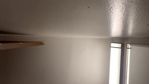 Snapshot of detroitbiguy chatting on 01/08/25, 02:25 Nastytae313 online show from 01/08/25, 02:25