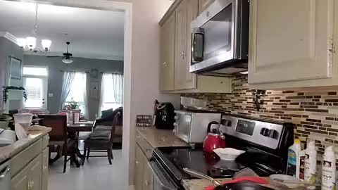 Snapshot of dextercollins chatting on 03/18/26, 03:15 Dextercollins online show from 03/18/26, 03:15