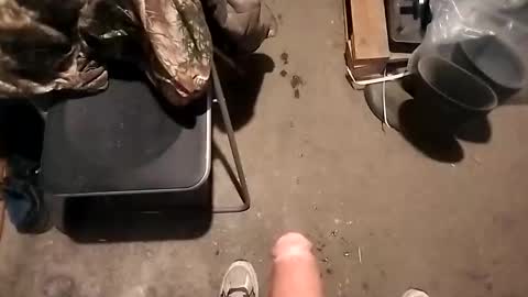 dgjikh online show from 03/05/26, 12:39