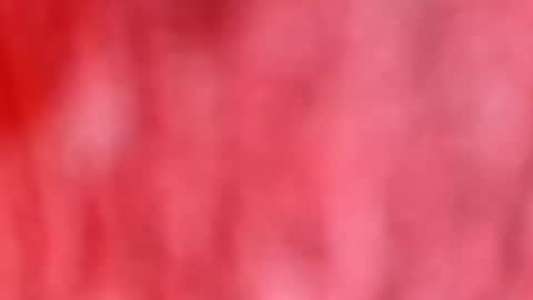 Snapshot of dhbbc454336 chatting on 01/12/26, 10:42 Marcus D-von Steel as the raunchy ass sniffer thrill me with your online show from 01/12/26, 10:42