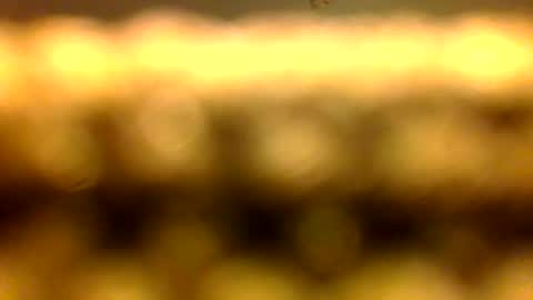 Snapshot of dhbbc454336 chatting on 04/11/26, 10:41 Marcus D-von Steel as the raunchy ass sniffer thrill me with your online show from 04/11/26, 10:41