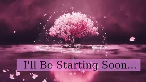 Snapshot of diamond_daphne chatting on 04/03/26, 08:01 Daphne Sophia Vega online show from 04/03/26, 08:01