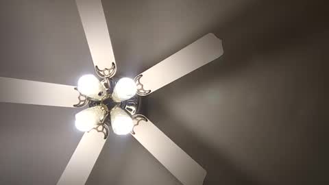 Snapshot of diamonde_steele chatting on 12/12/24, 01:53 diamonde_steele online show from 12/12/24, 01:53