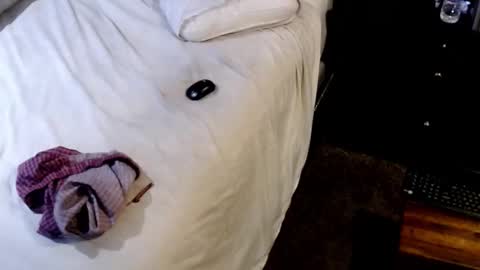 Snapshot of dickgiggler chatting on 11/09/25, 03:38 Sparkx online show from 11/09/25, 03:38