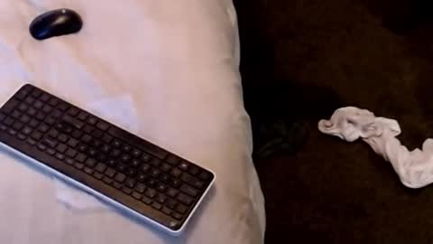 Snapshot of dickgiggler chatting on 12/22/25, 04:31 Sparkx online show from 12/22/25, 04:31