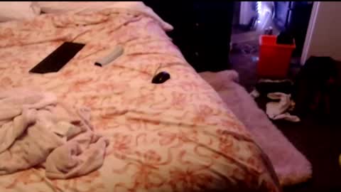 Snapshot of dickgiggler chatting on 03/28/26, 08:36 Sparkx online show from 03/28/26, 08:36