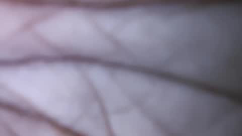 Snapshot of dicks_balls chatting on 12/01/24, 07:47 Dick balls online show from 12/01/24, 07:47