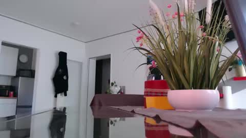 Snapshot of didiegal1 chatting on 04/02/26, 10:57 squirtcock online show from 04/02/26, 10:57