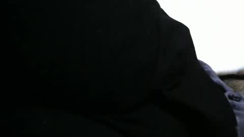 Snapshot of dilaradagci chatting on 01/01/25, 10:46 Bob online show from 01/01/25, 10:46