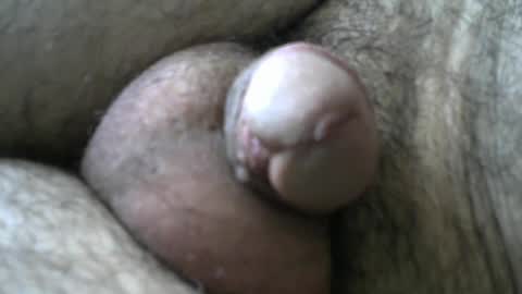 Snapshot of dilaradagci chatting on 01/11/25, 08:33 Bob online show from 01/11/25, 08:33