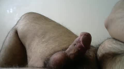 Snapshot of dilaradagci chatting on 02/27/25, 11:41 Bob online show from 02/27/25, 11:41