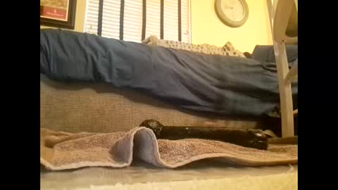 dildosnme22 online show from 03/10/25, 06:45