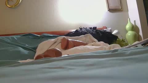 dildosnme22 online show from 02/10/26, 02:48