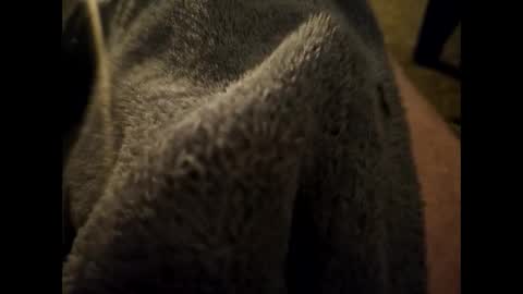 Dilf online show from 01/16/25, 06:35