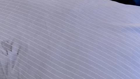 Dilldough405 online show from 02/24/25, 07:55