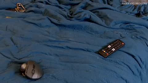 Dilldough405 online show from 09/09/25, 05:07