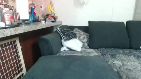 Sofie online show from 12/23/24, 08:33