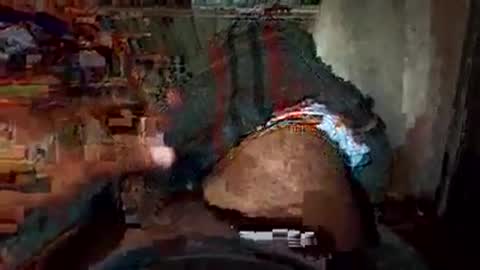 Snapshot of dino_7711 chatting on 11/22/25, 02:10 dyno online show from 11/22/25, 02:10