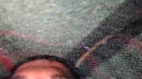 Snapshot of dino_7711 chatting on 12/19/25, 05:31 dyno online show from 12/19/25, 05:31