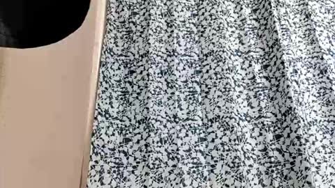 DIPSTIK online show from 10/20/25, 12:22