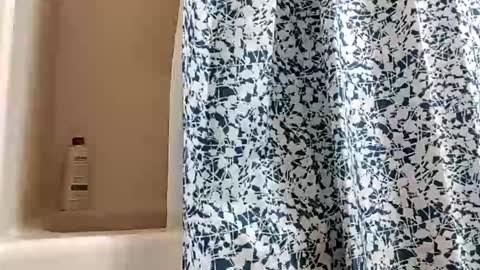 DIPSTIK online show from 11/30/25, 01:15