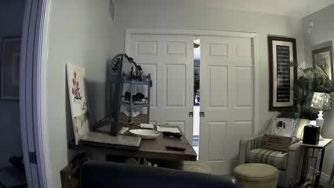 DirtkPitt Fun guy working online show from 01/02/25, 03:05