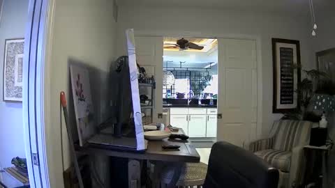 DirtkPitt Fun guy working online show from 01/03/25, 04:37