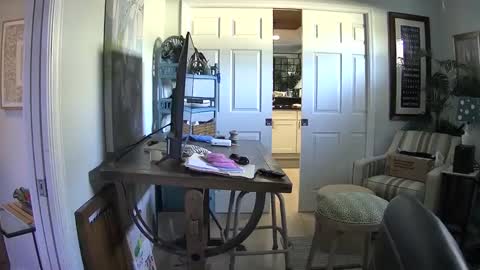 DirtkPitt Fun guy working online show from 02/01/25, 06:40