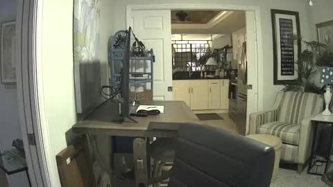 DirtkPitt Fun guy working online show from 02/09/25, 06:01