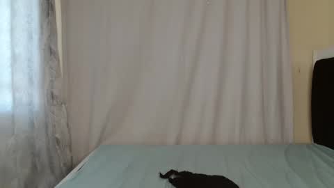 disah_002 online show from 05/28/26, 11:18