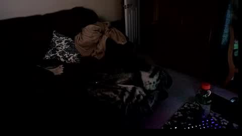 Snapshot of dizzyash chatting on 04/04/26, 02:43 Hansel and Gretle online show from 04/04/26, 02:43