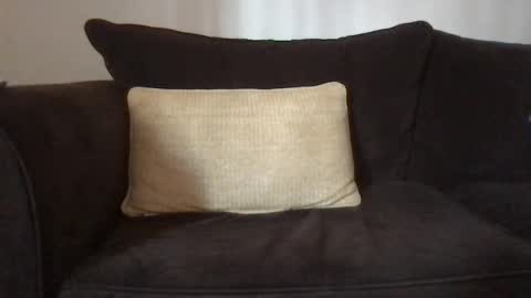 Dizzydig online show from 01/25/25, 05:08