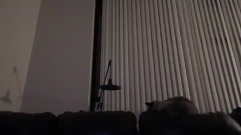 Snapshot of dj_chaterbate chatting on 01/14/26, 04:07 DJ Chaterbate online show from 01/14/26, 04:07