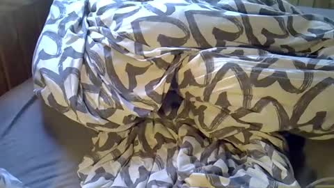 Snapshot of dkdad1966 chatting on 04/06/26, 02:07 DKdad online show from 04/06/26, 02:07