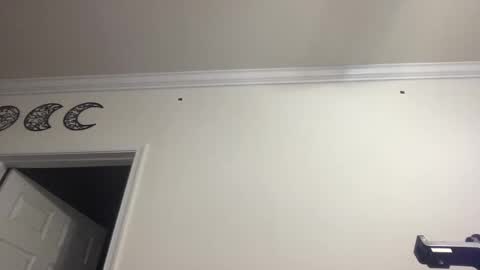 Snapshot of dlasian98 chatting on 01/28/25, 11:39 DL Asian Sissy online show from 01/28/25, 11:39