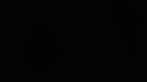 dlt22 online show from 04/12/26, 10:53