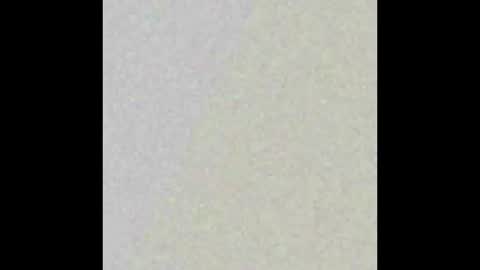 dmtuda11 online show from 03/26/26, 07:47