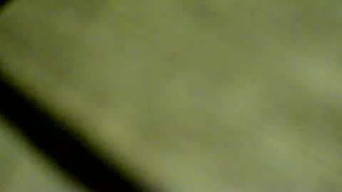 Doby online show from 04/08/26, 09:48