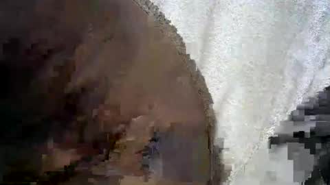 doctorlove_evil online show from 01/30/25, 02:06