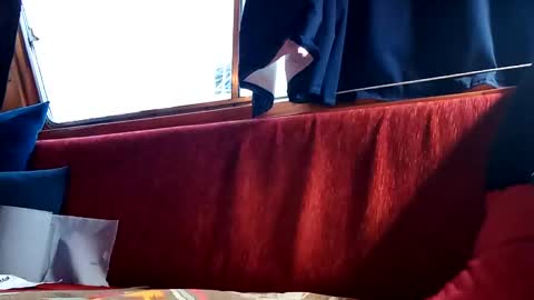 doghouseblue online show from 01/13/25, 03:58