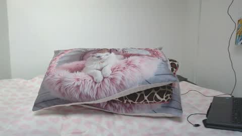 Snapshot of dolcevainin chatting on 04/02/26, 12:36 Dolcevainin online show from 04/02/26, 12:36