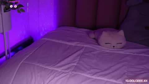 Dolcexx online show from 01/13/26, 08:03